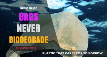 Why Plastic Bags Persist: The Science Behind Non-Biodegradability