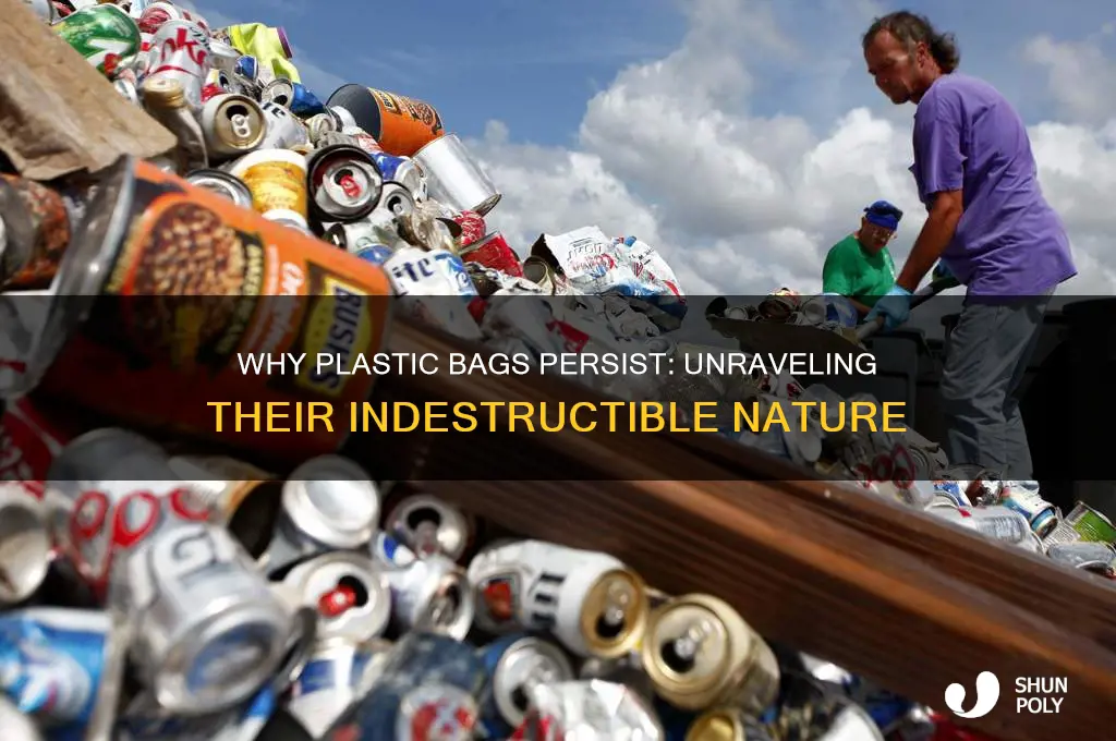 why do plastic bags not break down
