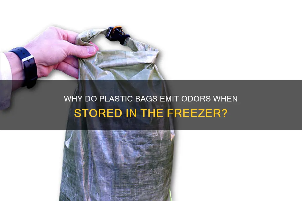 why do plastic bags smell in the freezer