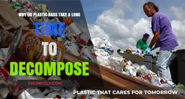 The Slow Decay: Why Plastic Bags Persist in Our Environment