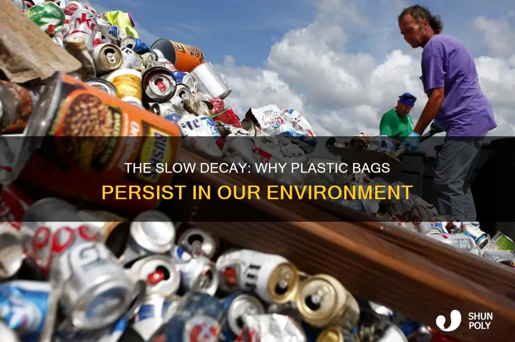 why do plastic bags take a long time to decompose
