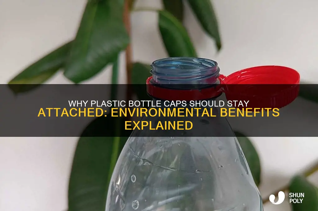 why do plastic bottle caps need to be attached