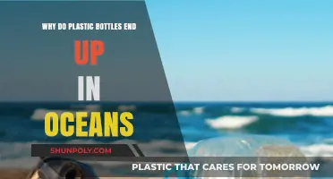 How Plastic Bottles Pollute Oceans: Causes and Solutions Explained
