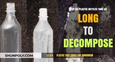 The Slow Decay: Why Plastic Bottles Persist in Our Environment