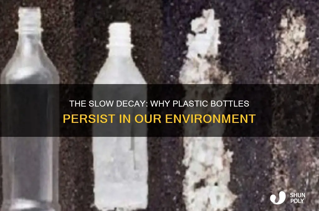 why do plastic bottles take so long to decompose
