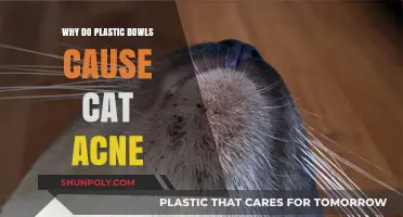 Plastic Bowls: A Cat Acne Trigger?