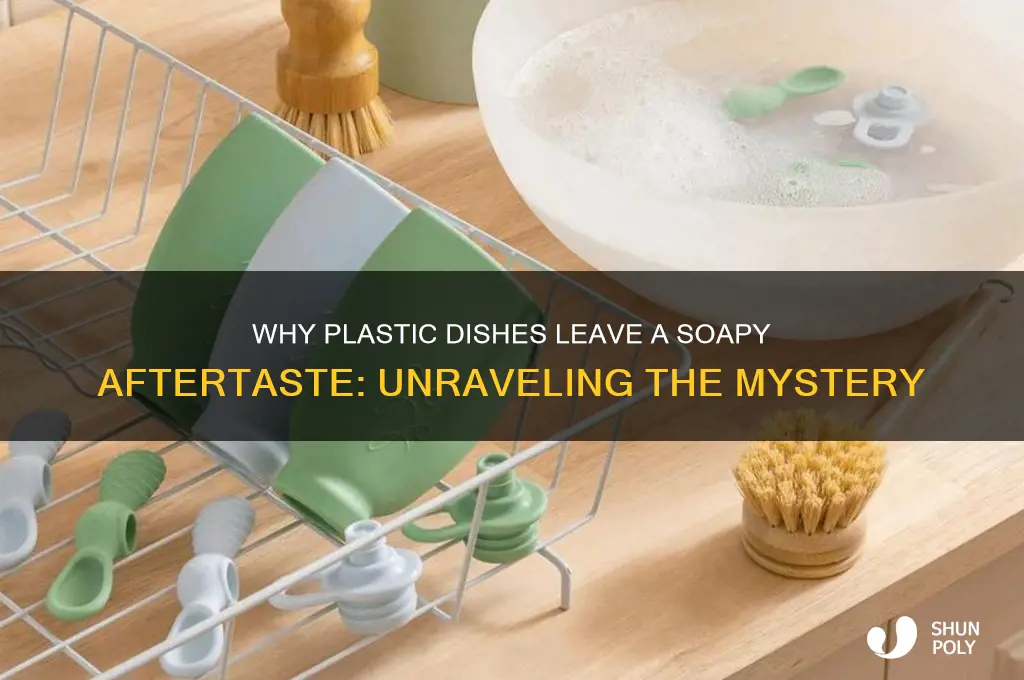 why do plastic dishes make food taste like soap