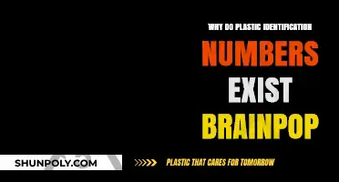 Plastic Identification Numbers: Understanding Their Purpose