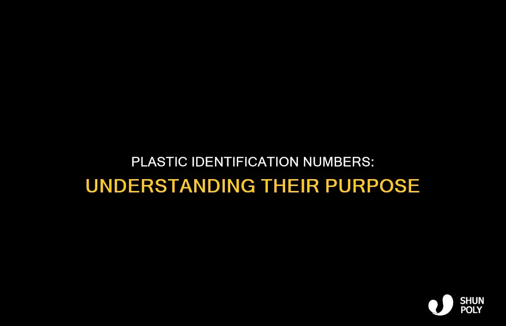 why do plastic identification numbers exist brainpop