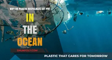 Ocean's Plastic Crisis: How Recycled Waste Ends Up in Seas