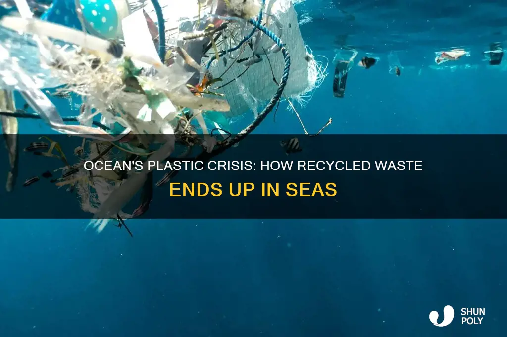 why do plastic recyclbles get put in the ocean