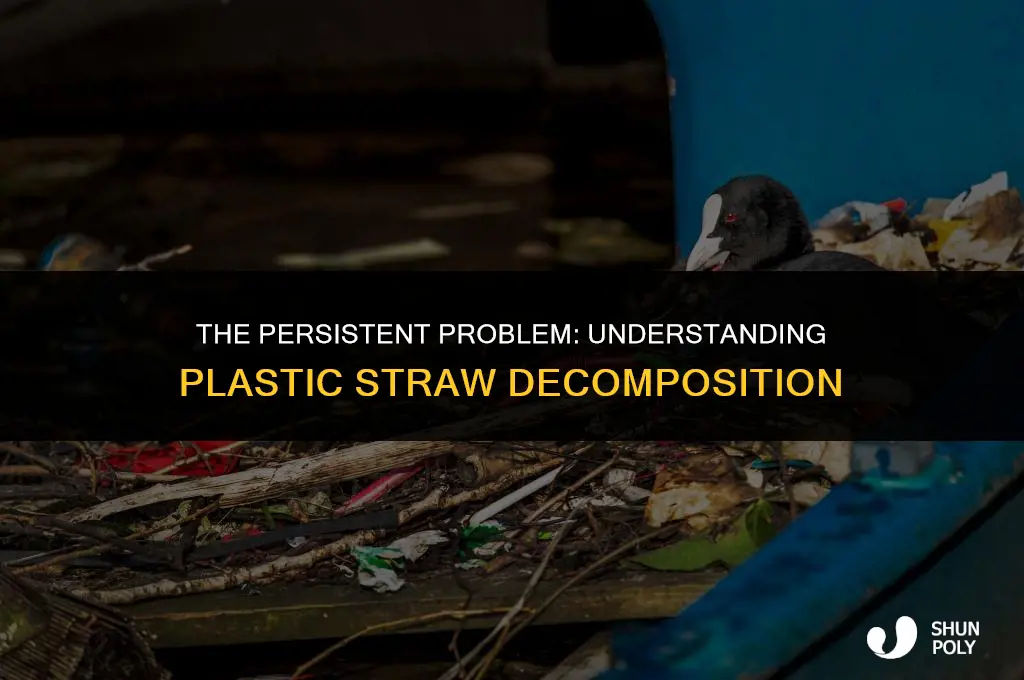 why do plastic straws take so long to decompose