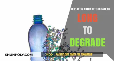 The Slow Decay: Why Plastic Water Bottles Persist for Centuries