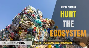 Plastic Pollution: How Plastics Damage Our Ecosystem