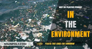Plastic Pollution: Why Plastics Don't Decompose