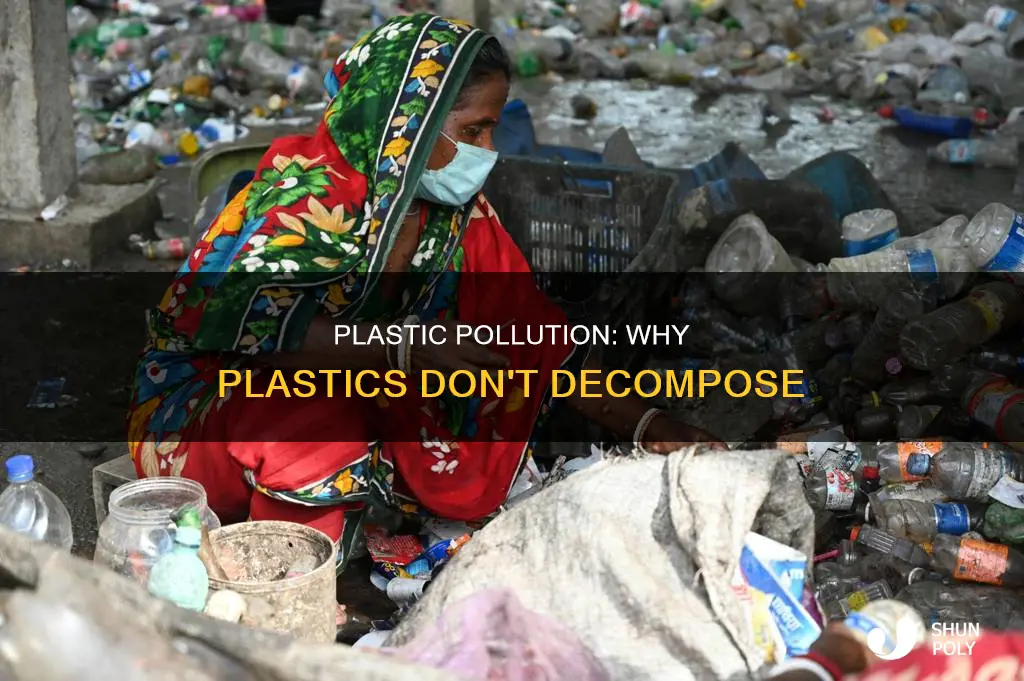 why do plastics persist in the environment