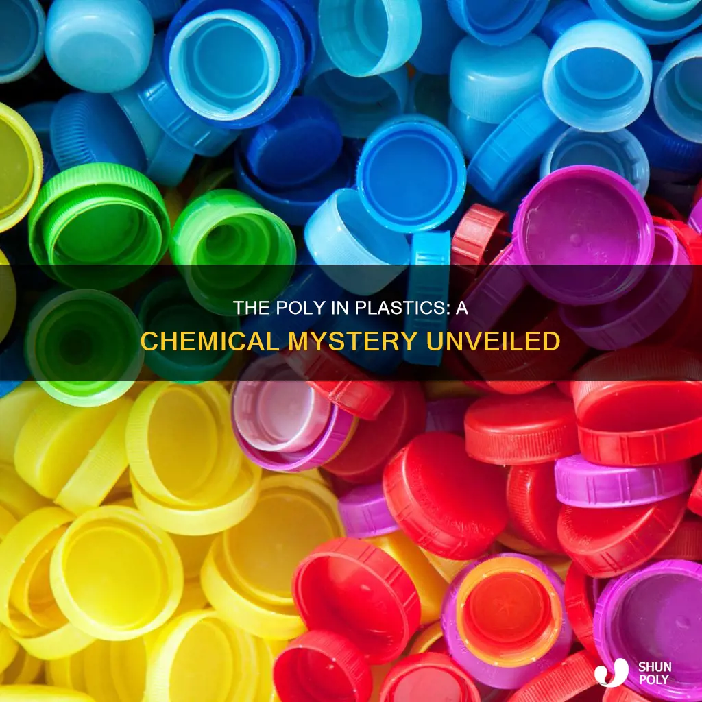 why do plastics start with poly