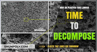 Unraveling the Mystery: Why Plastics Outlast Their Welcome