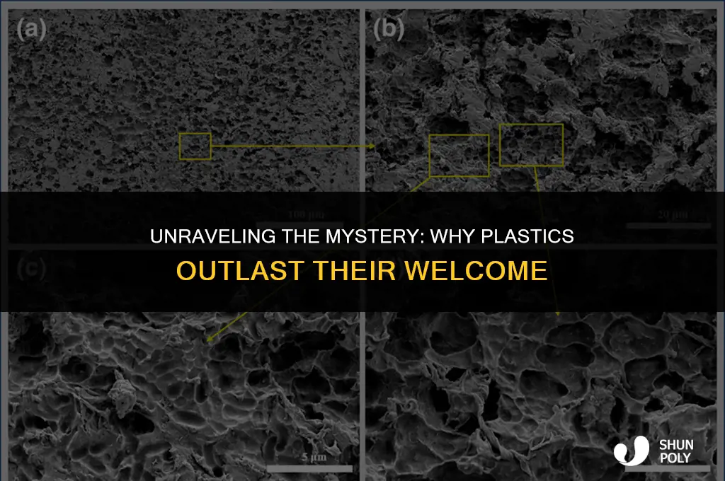 why do plastics take longer time to decompose
