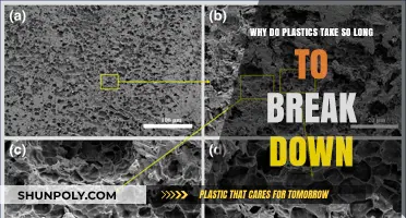 Unraveling the Mystery: Why Plastics Persist in Our Environment