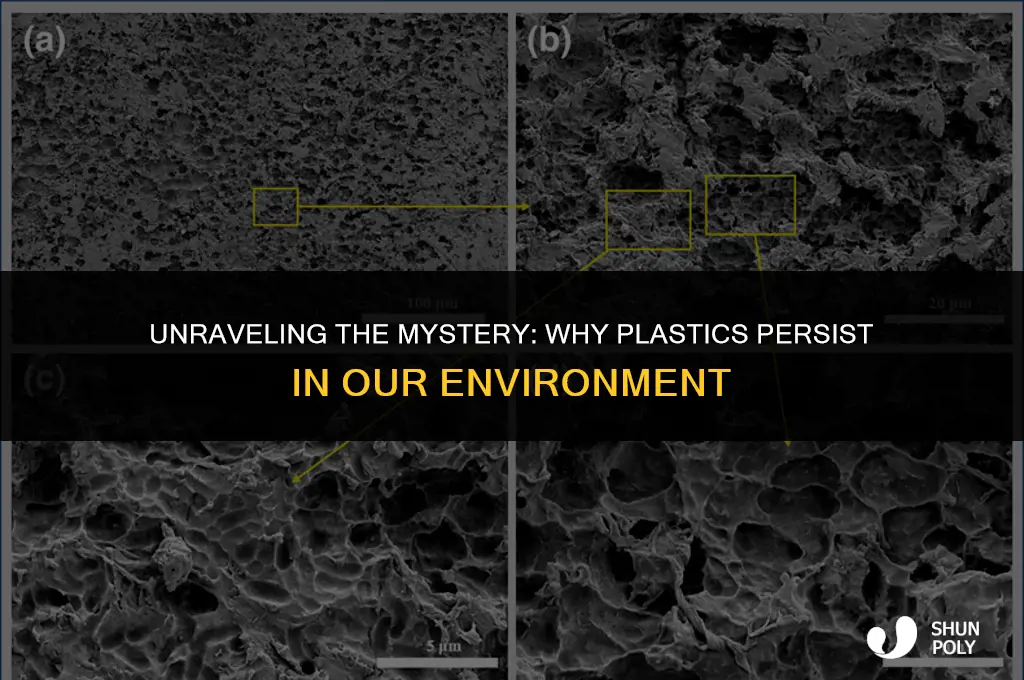 why do plastics take so long to break down