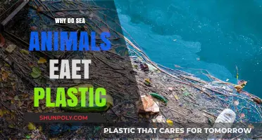 Sea Creatures: Plastic as Food