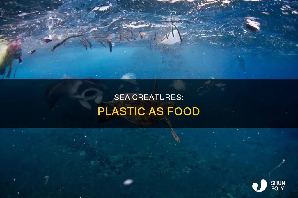 why do sea animals eaet plastic