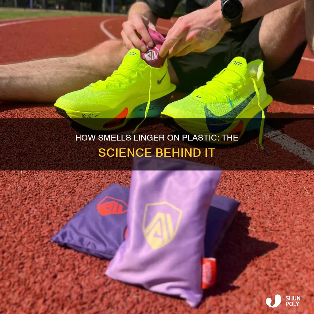 why do smells linger on plastic