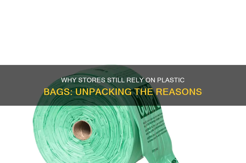 why do sotres keep using plastic bags