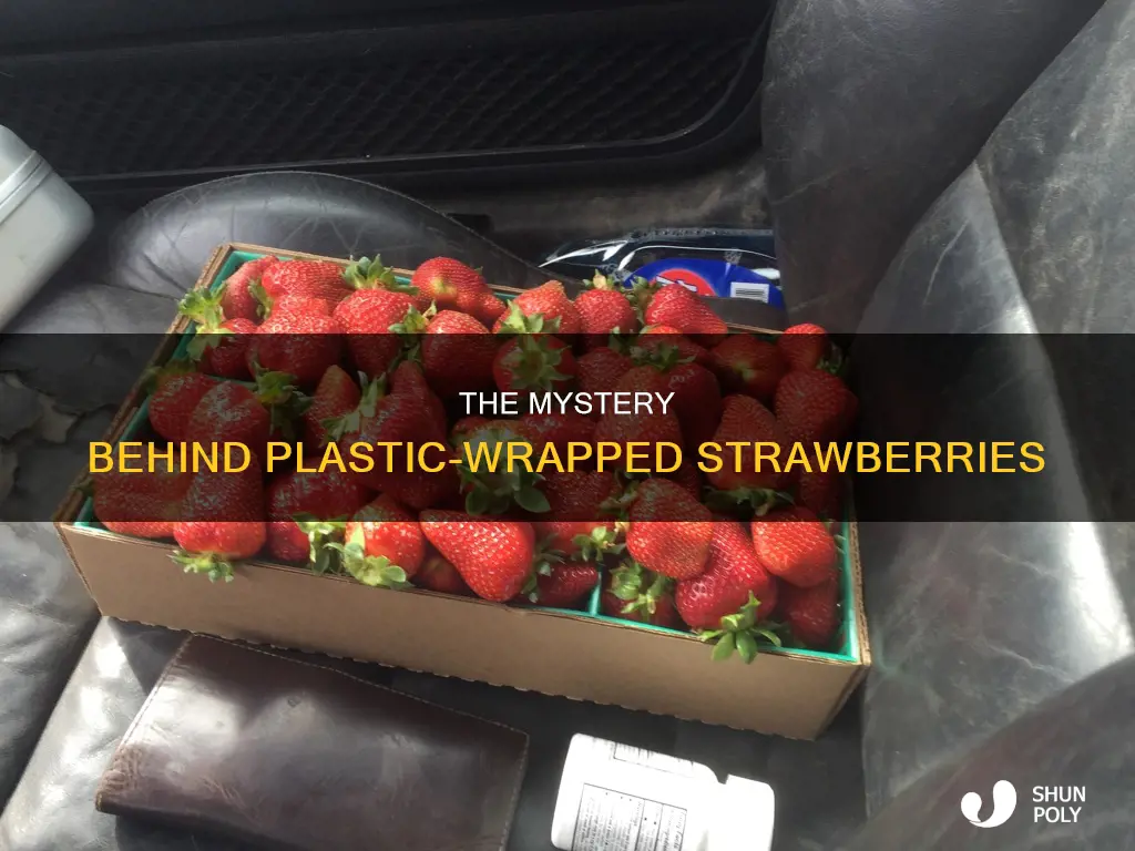 why do strawberries have plastic around them