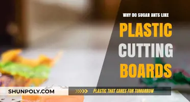 Why Sugar Ants Are Attracted to Plastic Cutting Boards