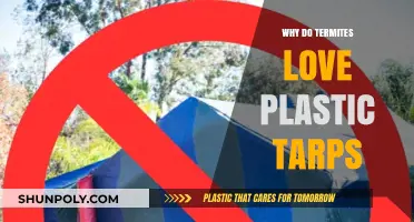 How Plastic Tarps Attract Termites
