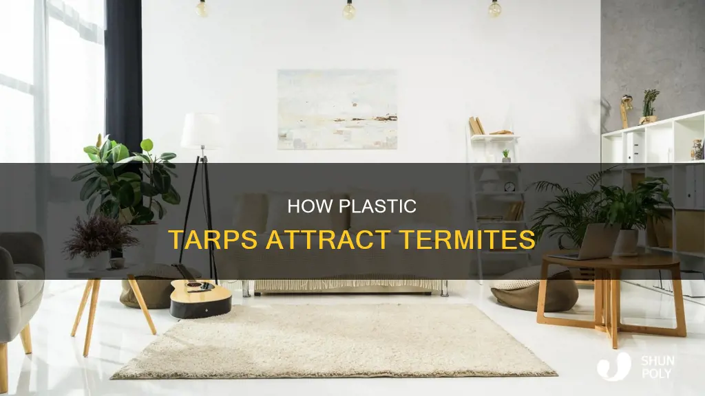 why do termites love plastic tarps