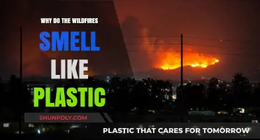 The Smell of Wildfires: Why Plastic?