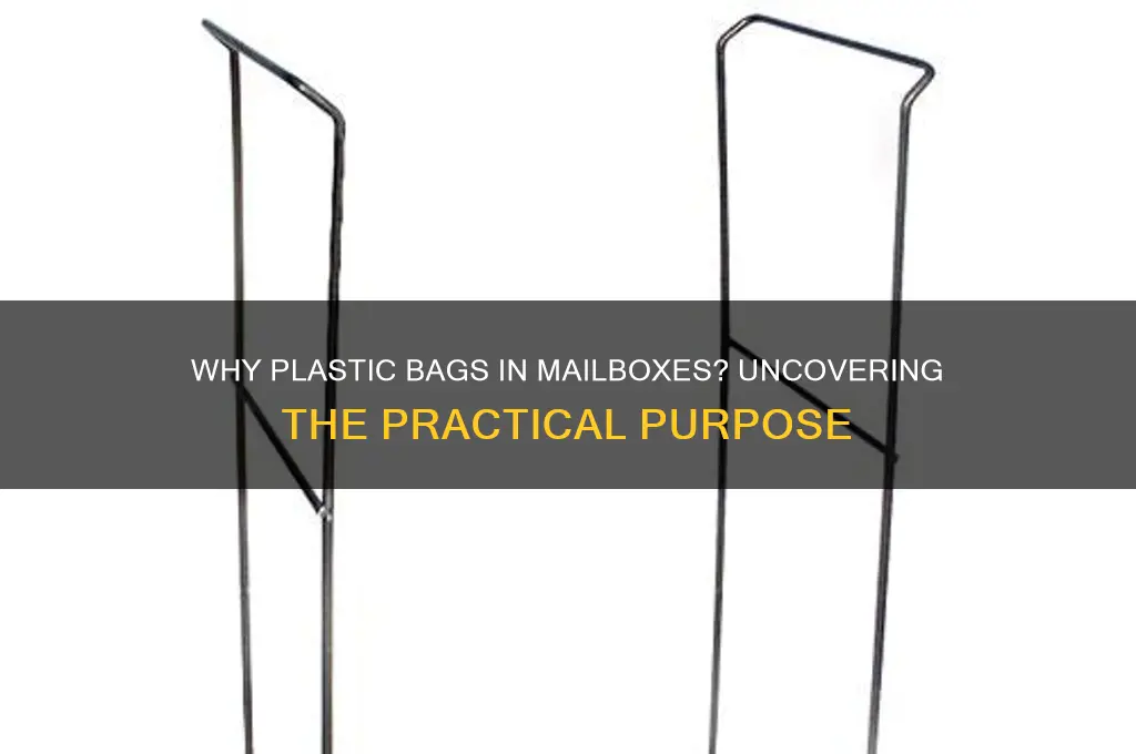 why do they put plastic bags in mail box