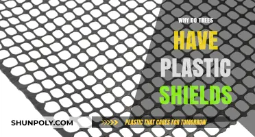 Protecting Trees: Plastic Shields' Purpose