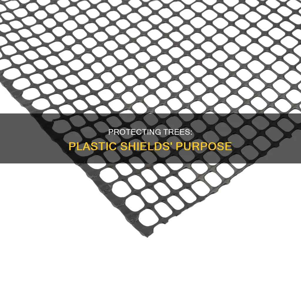 why do trees have plastic shields