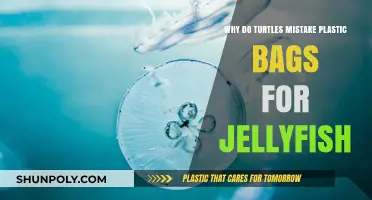 Plastic Bags vs. Jellyfish: Why Turtles Make a Deadly Mistake