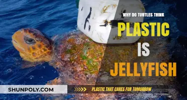 Turtles' Plastic Delusion: Jellyfish or Death?
