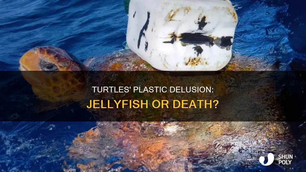 why do turtles think plastic is jellyfish