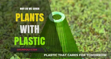 How Plastic Covering Helps Plants Grow