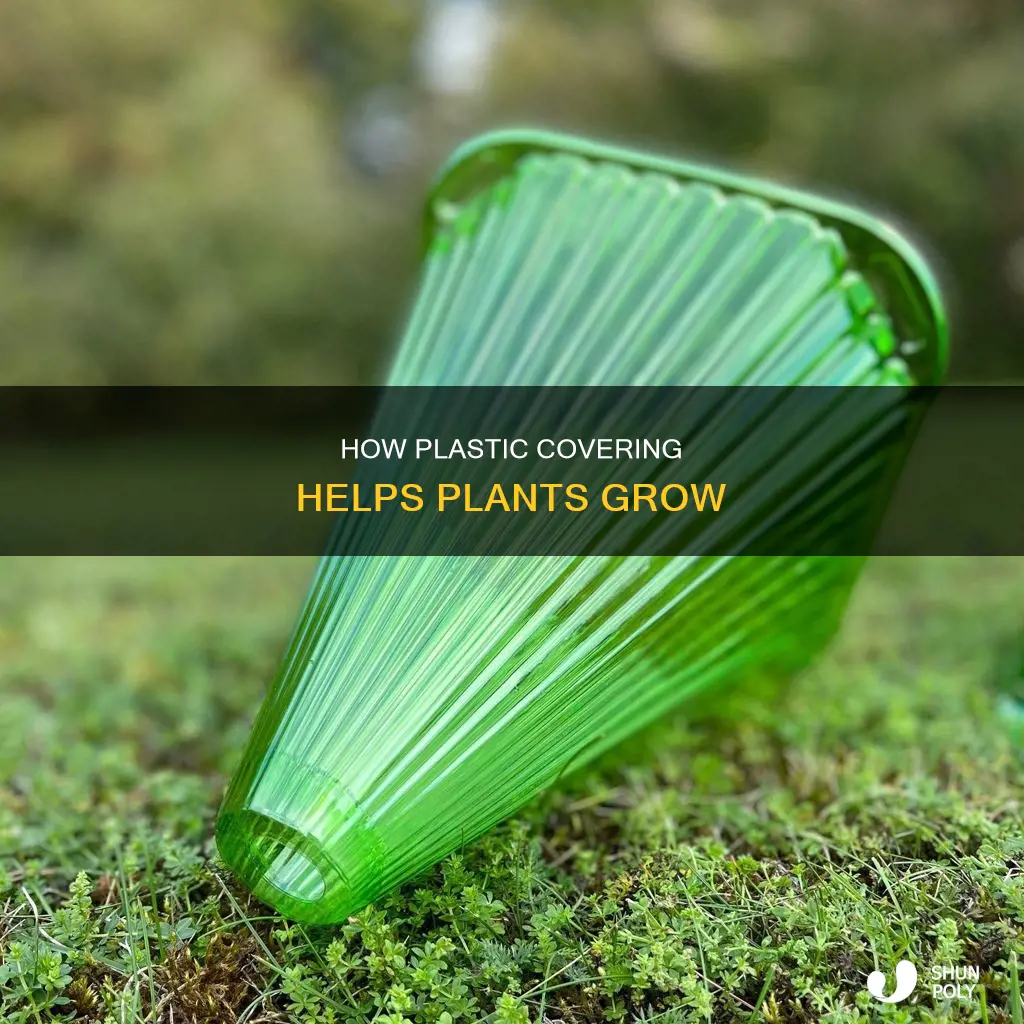 why do we cover plants with plastic