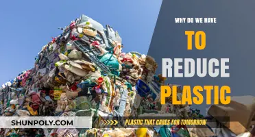 Reducing Plastic: Our Oceans, Our Future