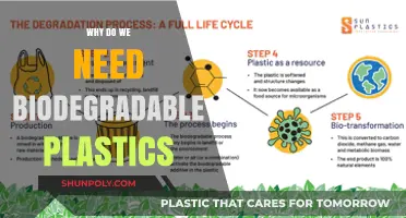 The Green Solution: Biodegradable Plastics for a Sustainable Future