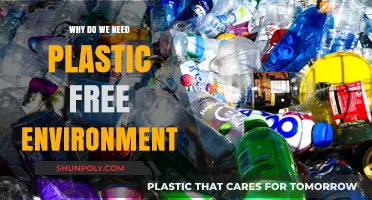 Plastic-Free Environment: Our Healthy Future