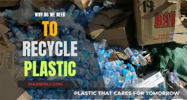 Plastic's Impact: Why Recycling Matters for a Sustainable Future