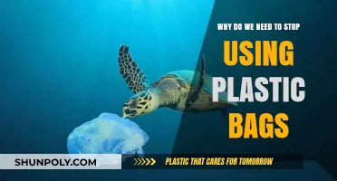 Ditch Plastic Bags: Save Our Planet, Protect Wildlife, and Embrace Sustainability