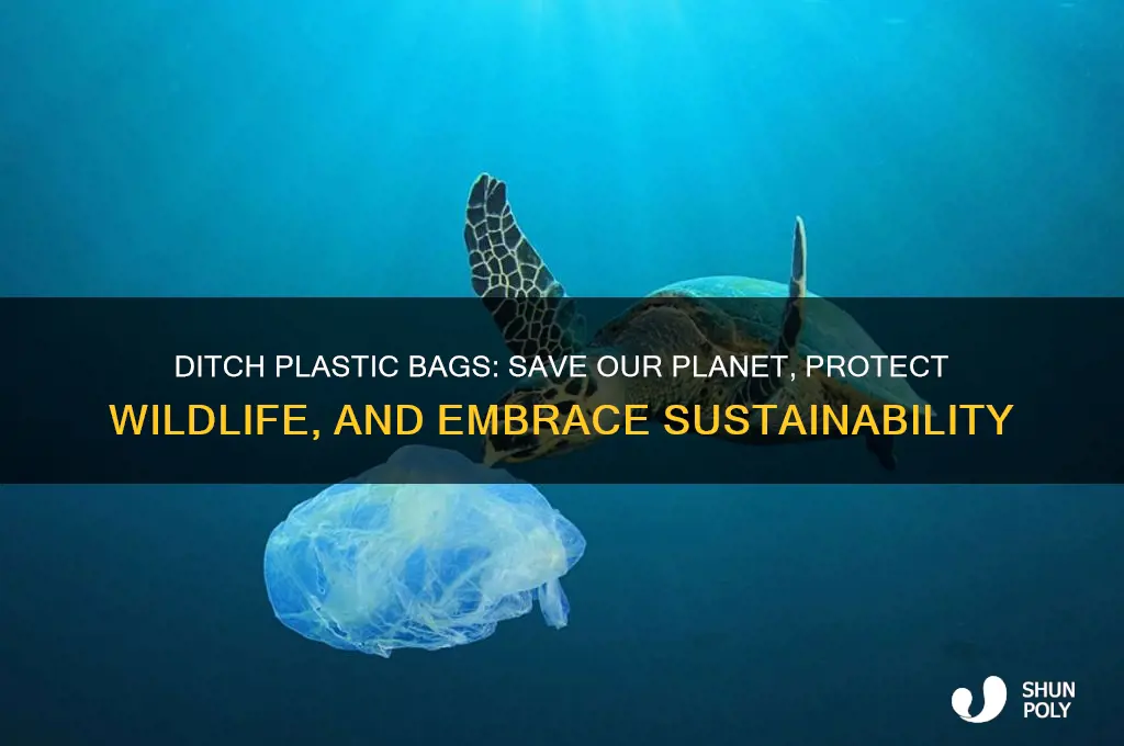 why do we need to stop using plastic bags