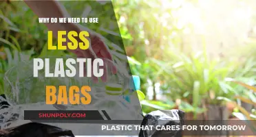 Reduce Plastic Bag Use: Protect Our Planet and Future Generations