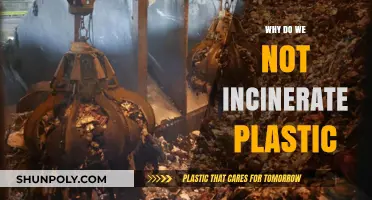 Incineration's Impact: Plastic's Toxic Legacy